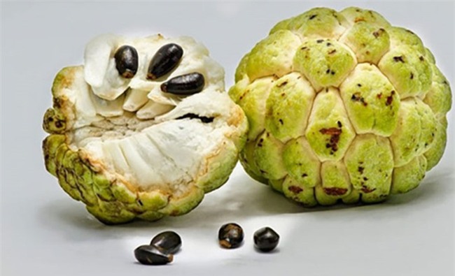 Có những loại trái cây dù rất ngon nhưng nếu ăn phải bộ phận này của nó sẽ cực kì nguy hại - Ảnh 4.