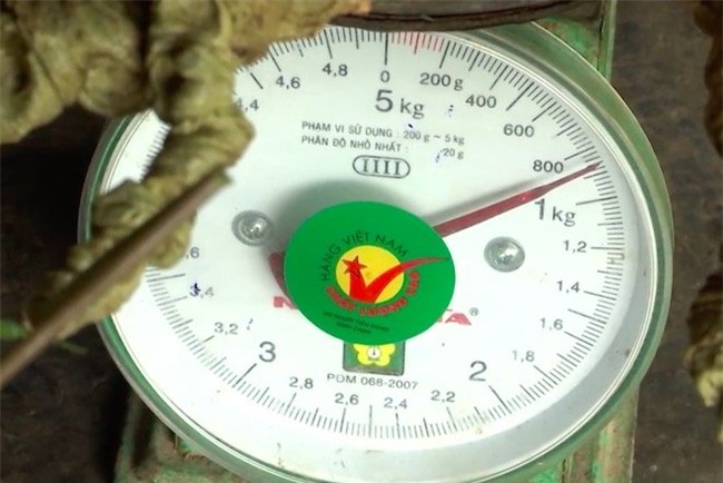 Sâm Ngọc Linh, sâm Việt Nam, sâm quý, nhân sâm