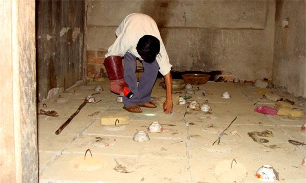 mãng xà, nuôi rắn, rắn hổ mang, bình rượu, hũ rượu