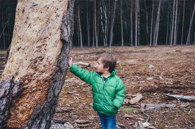 Đừng bỏ lỡ 10 lợi ích mỹ mãn của giáo dục ngoài trời đối với trẻ - 2