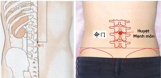 Đông y coi đây là cửa sinh mệnh: Cách bảo vệ thận và phòng chống bệnh tật - Ảnh 2.