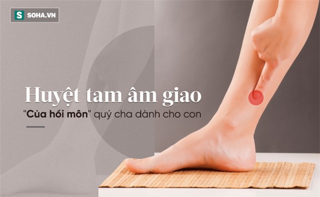 Đông y coi đây là cửa sinh mệnh: Cách bảo vệ thận và phòng chống bệnh tật - Ảnh 6.