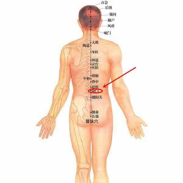 Đông y coi đây là cửa sinh mệnh: Cách bảo vệ thận và phòng chống bệnh tật - Ảnh 8.