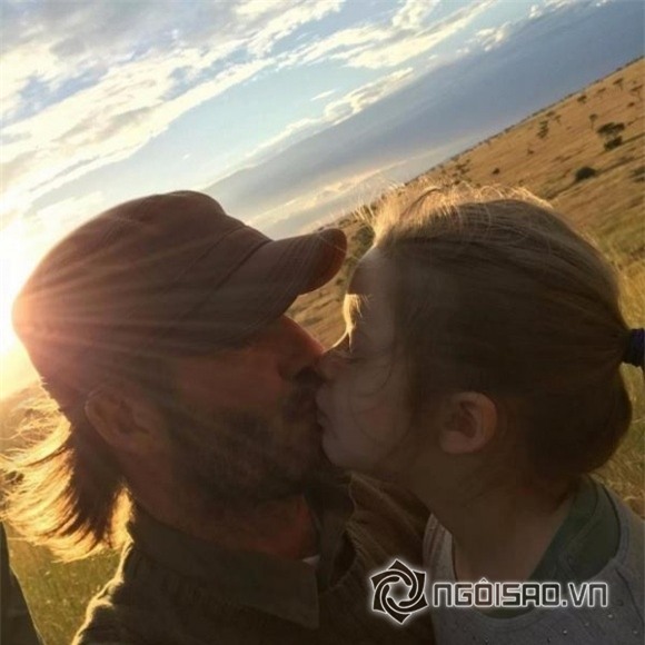 sao Việt, hôn môi con, MC Phan Anh, Tùng Dương, Mỹ Dung