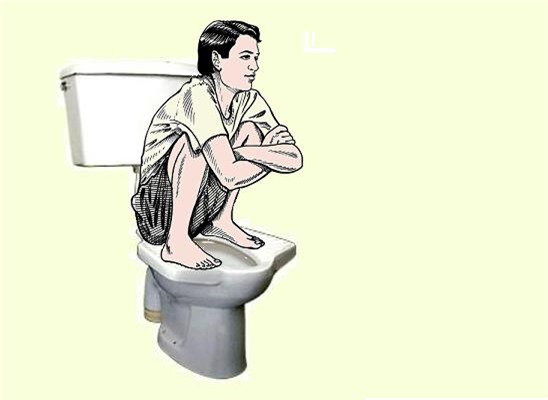 Vì sao người Nhật và người Ấn cho rằng bồn cầu xổm tốt hơn bồn cầu ngồi hiện đại? - Ảnh 1.