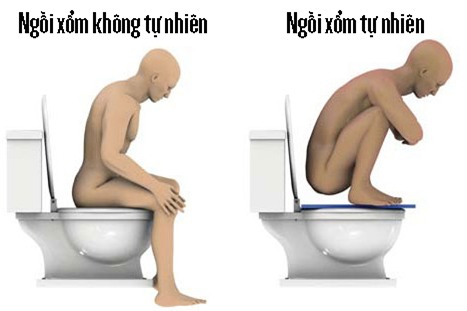 Vì sao người Nhật và người Ấn cho rằng bồn cầu xổm tốt hơn bồn cầu ngồi hiện đại? - Ảnh 2.