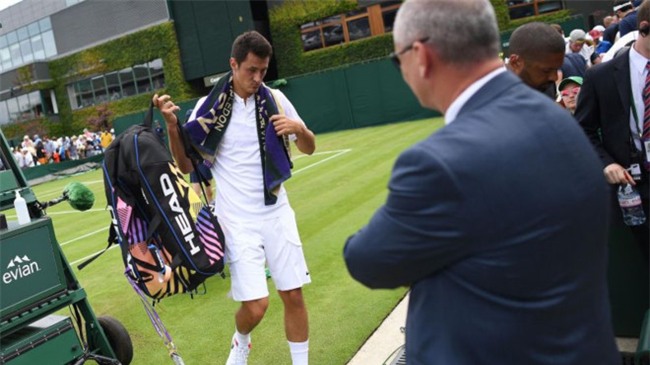 Sao tennis Australia bi len an nang ne vi va mieng o Wimbledon hinh anh 1