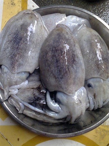 Mẹo “thần thánh” xào mực giòn sần sật, thơm ngọt, không chảy nước - 1