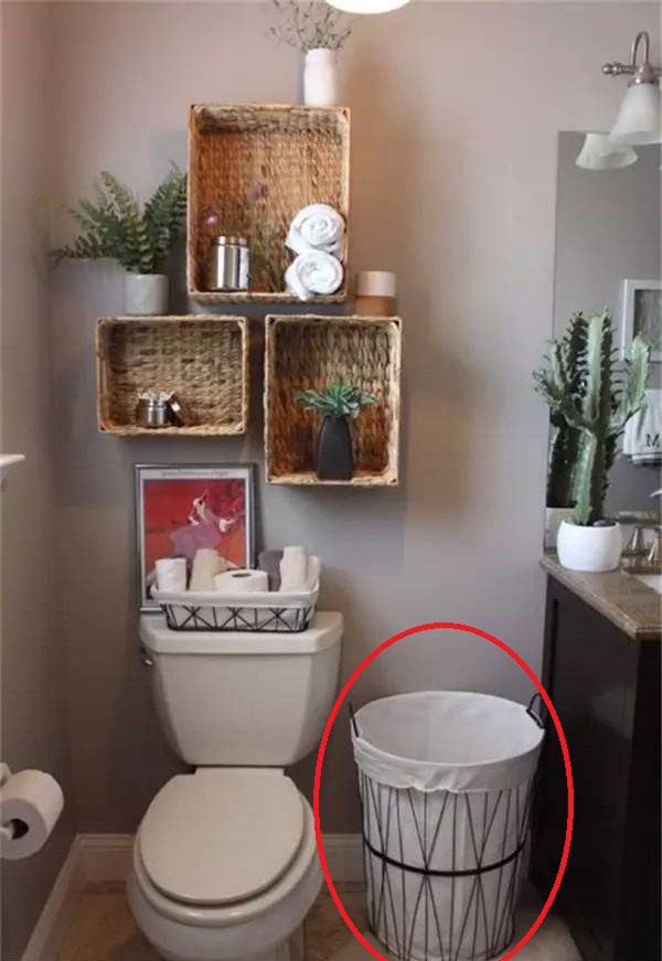 hau het nguoi viet dang "nuoi" vi khuan, chat doc vi hay dat nhung thu nay trong nha tam - 2