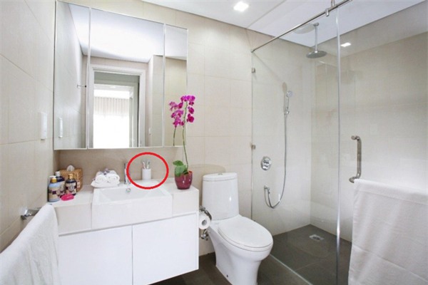 hau het nguoi viet dang "nuoi" vi khuan, chat doc vi hay dat nhung thu nay trong nha tam - 3