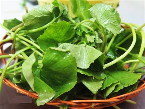 'Xoa bay' seo lau nam chi voi meo 3 don gian khong phai ai cung biet?