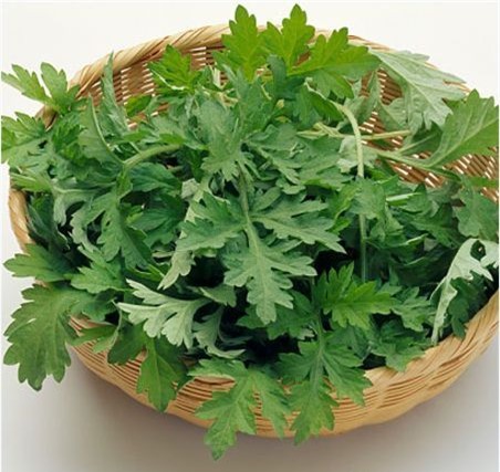 'Xoa bay' seo lau nam chi voi meo 3 don gian khong phai ai cung biet?