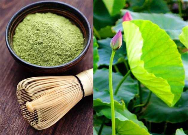 Mùa sen đến, nhiều chị em lại tìm đến lá sen để giảm cân mà không hay biết những sự thật đáng sợ này - Ảnh 2.