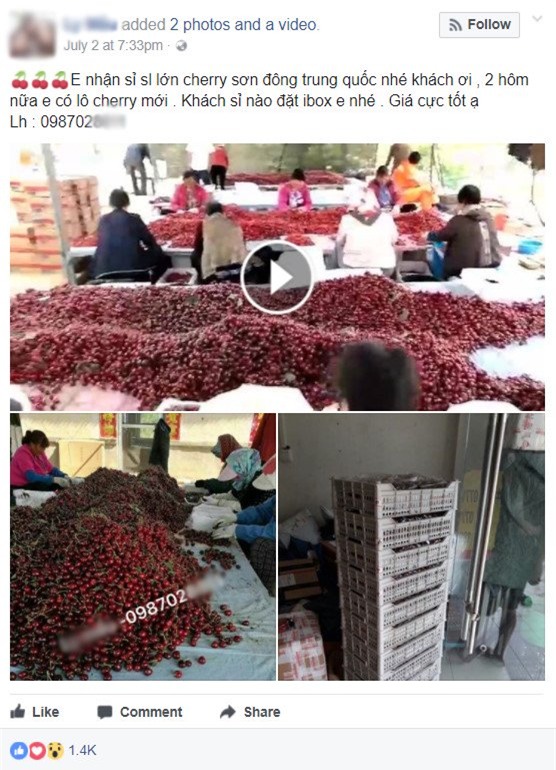 hoa quả nhập lậu, hoa quả Trung Quốc, thực phẩm bẩn, cherry, hoa quả ngoại