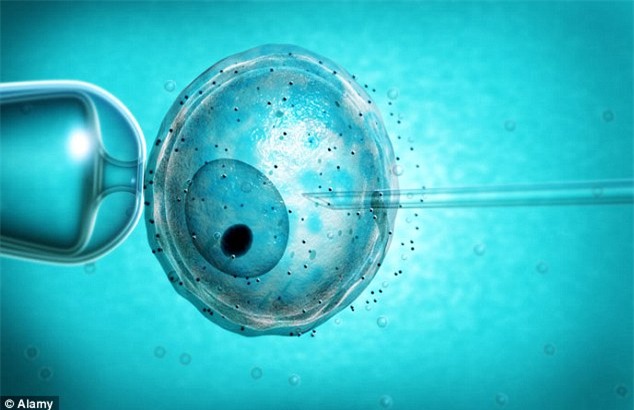 
Các nhà khoa học đã sử dụng tế bào da để tạo ra trứng và tinh tinh trùng nhân tạo. ảnh minh họa

