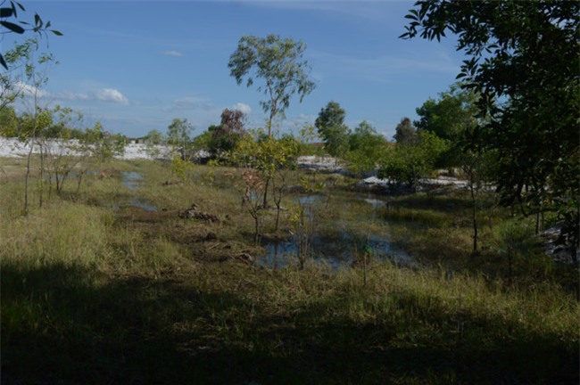 Khoi to vu an be trai 6 tuoi mat tich, nghi bi sat hai o Quang Binh hinh anh 2