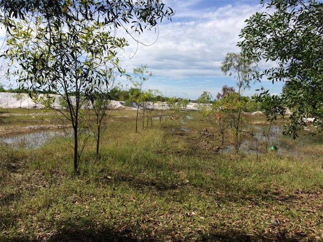 Vụ bé trai 6 tuổi mất tích ở Quảng Bình: Cặp sách đã chuẩn bị đủ, sao con lại ra đi… - Ảnh 3.