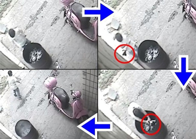 Chú chó đáng thương bị thui sống một cách oan ức vì đứa trẻ nghịch ngợm nhà hàng xóm - Ảnh 3.