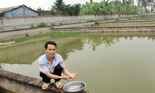 tu con no thanh trieu phu sau 2 nam nuoi ba ba hinh anh 1