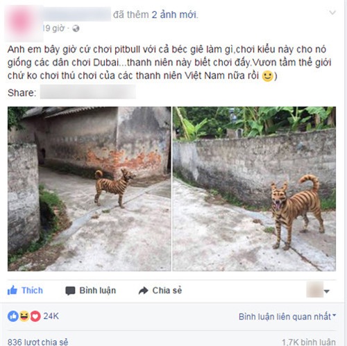 day la chu "cho ho" dang hot "ran ran" tren mxh, nhung ai ngo dang sau la su that qua soc - 3