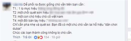 day la chu "cho ho" dang hot "ran ran" tren mxh, nhung ai ngo dang sau la su that qua soc - 7