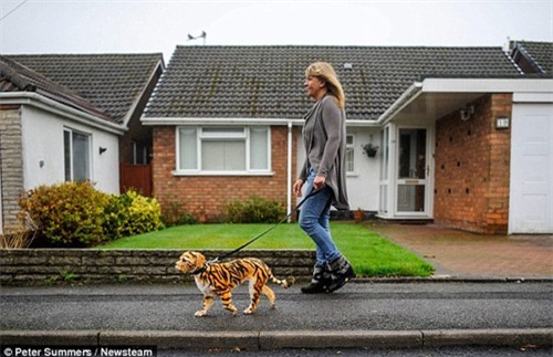 day la chu "cho ho" dang hot "ran ran" tren mxh, nhung ai ngo dang sau la su that qua soc - 9