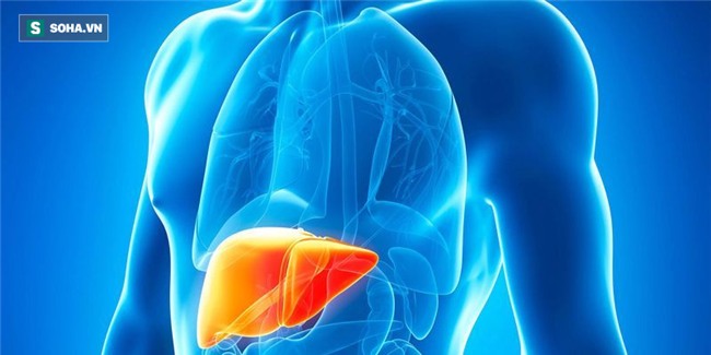 Biến đổi khủng khiếp trong cơ thể sau khi uống nước tăng lực khiến nhiều người rùng mình - Ảnh 2.