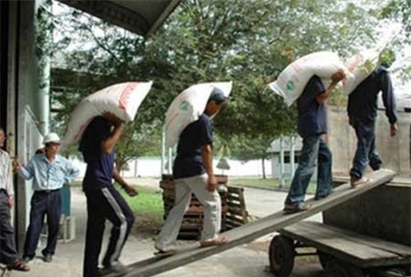 Thủ khoa thành Nam bốc vác kiếm tiền nhập học - 1