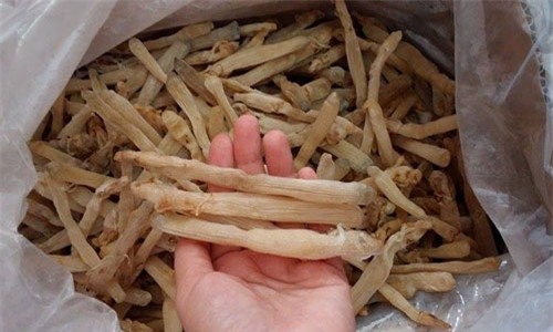 Sá sùng được rao bán có giá lên tới 4,5 - 5 triệu đồng/kg.