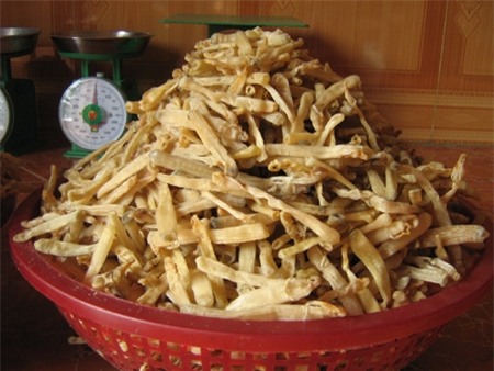 Món sá sùng được dân giàu ví như món “gia vị vàng ròng”