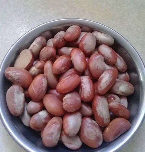 dan tinh no nuc on lai nhung mon an vat “than thanh”, ai tung an chung to da rat gia - 11