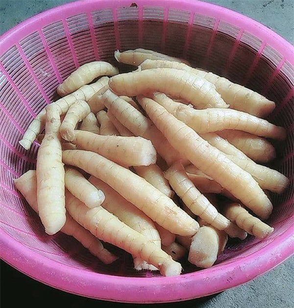 dan tinh no nuc on lai nhung mon an vat “than thanh”, ai tung an chung to da rat gia - 5