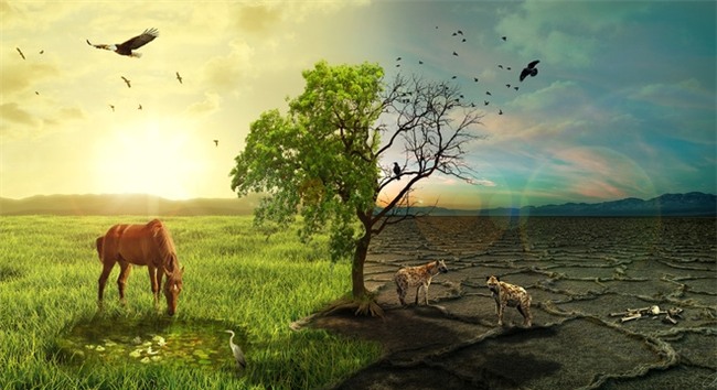 Bài diễn thuyết chấn động của thị trưởng thành phố Đài Bắc: Vinh hoa phú quý rồi cũng mất! - Ảnh 3.