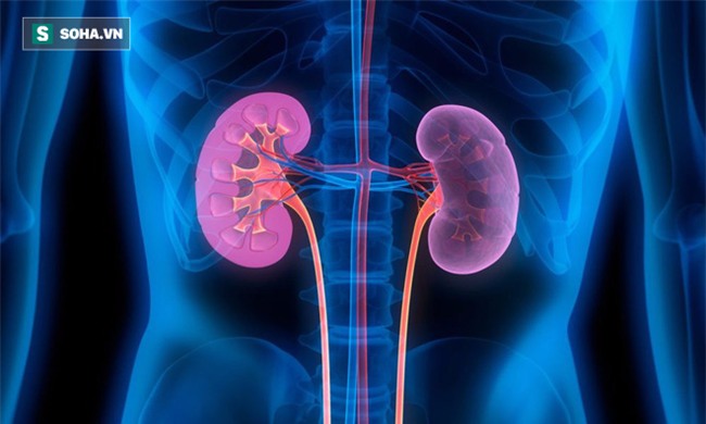 Thận khoẻ thì nhiều thứ bền, nhưng bác sĩ cảnh báo có dấu hiệu sau khéo suy thận rồi đấy! - Ảnh 3.