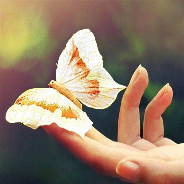 thay nhung diem lanh nay, chac chan gia dinh ban sap nhan tai loc, don chuyen vui - 3