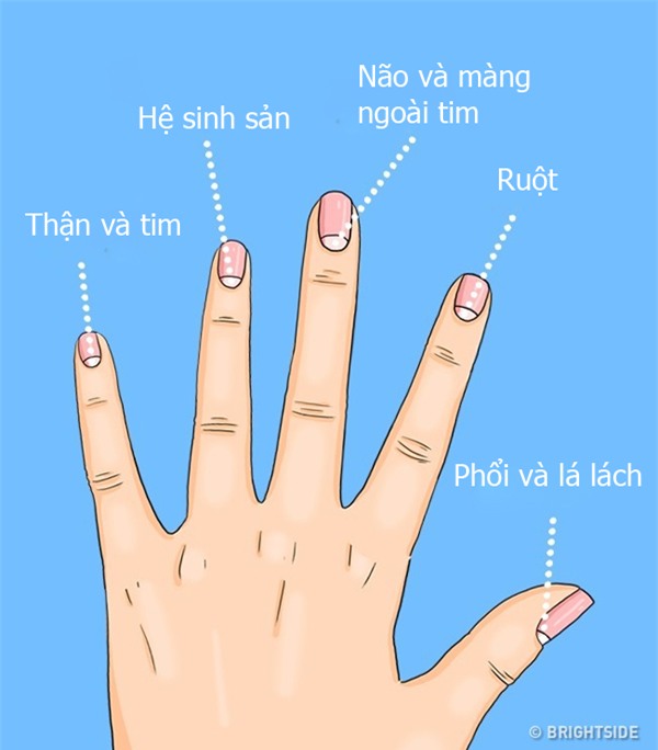 bat benh chuan xac thong qua hinh ban nguyet tren mong tay - 1