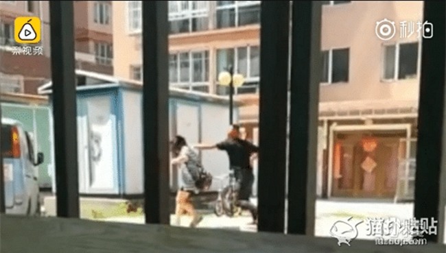 mang chui me chong giua pho, nang dau bi chong danh "thua song thieu chet" - 4