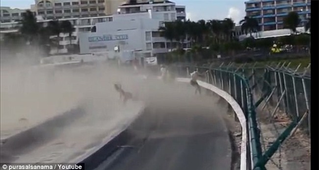 Đứng hóng máy bay cất cánh, người phụ nữ bị gió thổi bay, đập đầu vào đá tử vong - Ảnh 2.