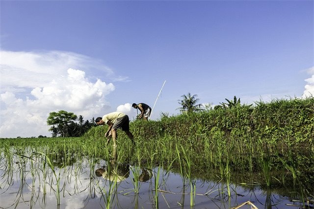 5 mo hinh truong hoc