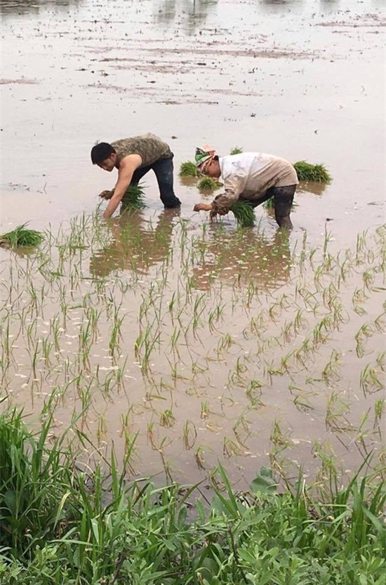 Tay giang hồ bí ẩn nhất 'Người phán xử' bất ngờ đi cày ruộng -1
