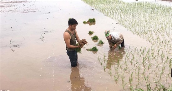 Tay giang hồ bí ẩn nhất 'Người phán xử' bất ngờ đi cày ruộng -2