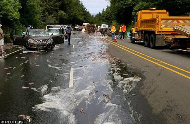 Cuộc đổ bộ của bầy lươn: Hơn 3,4 tấn lươn đổ ra đường tạo nên cảnh tượng kinh hoàng - Ảnh 4.