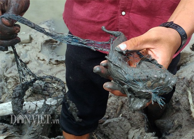 cá khủng, cá lạ, ngư dân