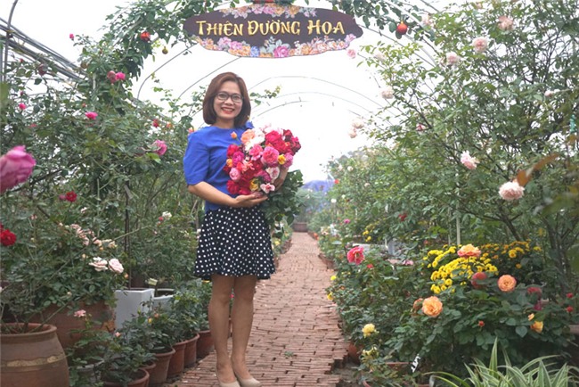 hoa hồng, vườn hồng, vườn hồng Hà Nội