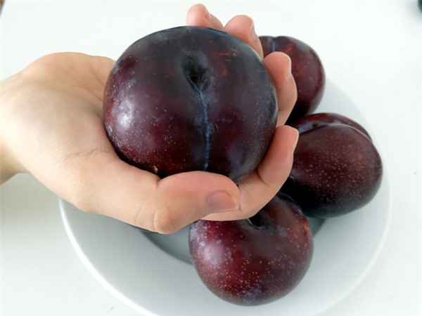 Mận khủng to như nắm tay nguồn gốc Trung Quốc đội lốt mận Sapa bán tràn lan trên đường phố Hà Nội - Ảnh 5.