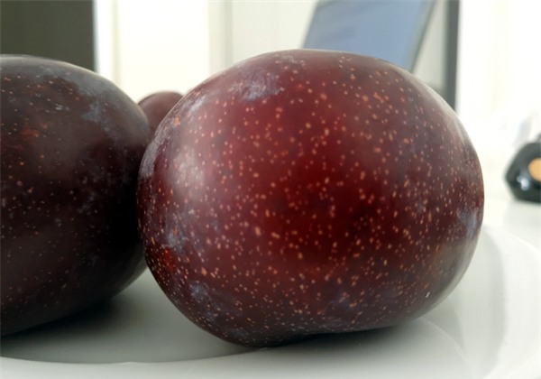 Mận khủng to như nắm tay nguồn gốc Trung Quốc đội lốt mận Sapa bán tràn lan trên đường phố Hà Nội - Ảnh 6.