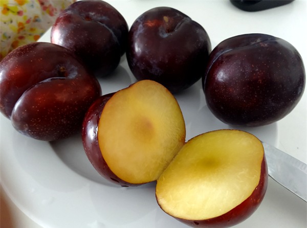 Mận khủng to như nắm tay nguồn gốc Trung Quốc đội lốt mận Sapa bán tràn lan trên đường phố Hà Nội - Ảnh 7.