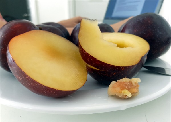 Mận khủng to như nắm tay nguồn gốc Trung Quốc đội lốt mận Sapa bán tràn lan trên đường phố Hà Nội - Ảnh 8.