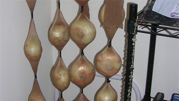 nhung cach bao quan rau qua tuyet dinh ma ba noi tro nao cung nen biet - 11