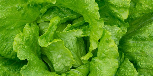 nhung cach bao quan rau qua tuyet dinh ma ba noi tro nao cung nen biet - 12